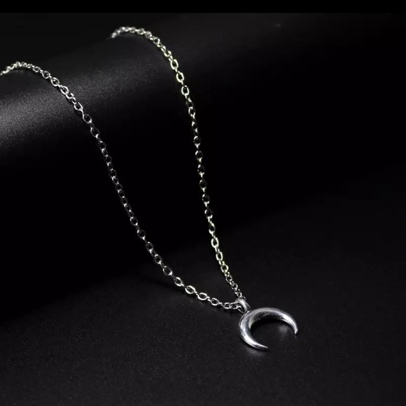 🔴5/$15🔴CLEARANCE Silver Horn Delicate Choker NEW - Picture 2 of 9
